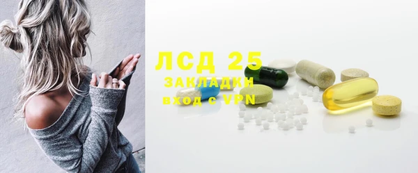 MESCALINE Гусь-Хрустальный