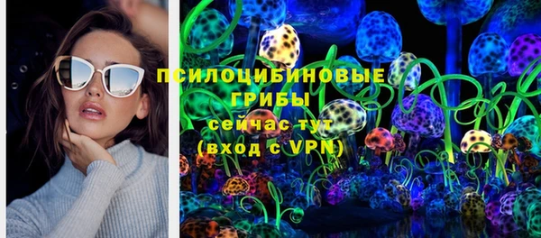 СК Куйбышев