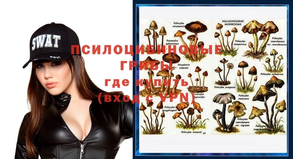хмурый Гусев
