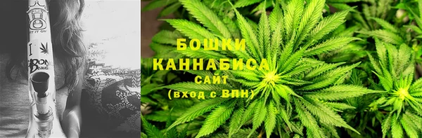 хмурый Гусев
