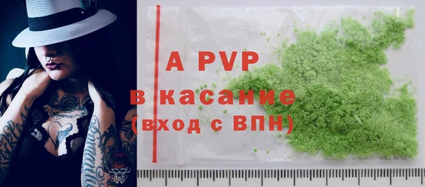 хмурый Гусев
