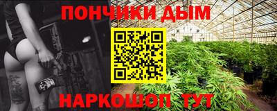 ешки Новодвинск