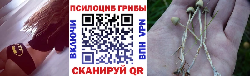 Галлюциногенные грибы прущие грибы  купить   Топки 