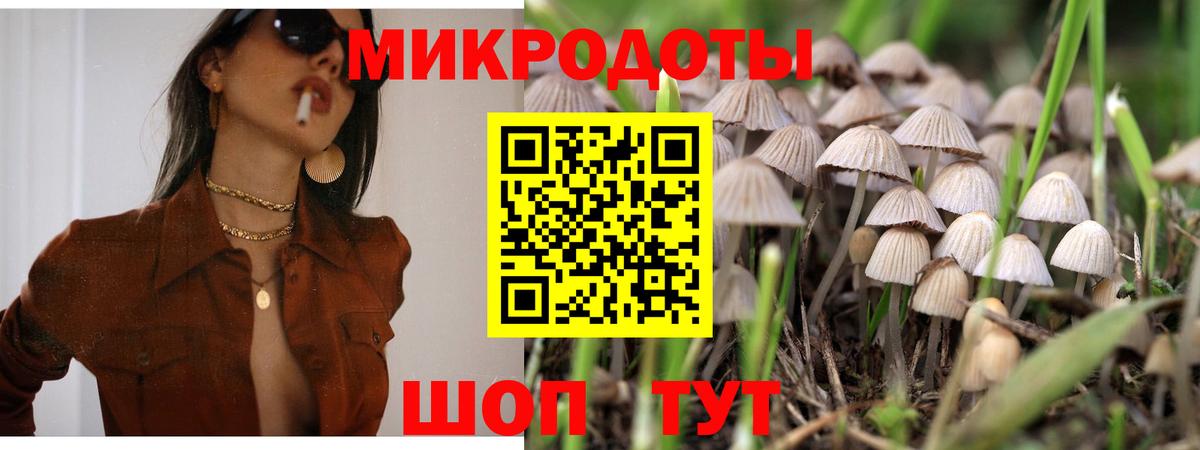 купить   Вход с VPN  Галлюциногенные грибы Psilocybine cubensis  Топки  Галлюциногенные грибы мухоморы 