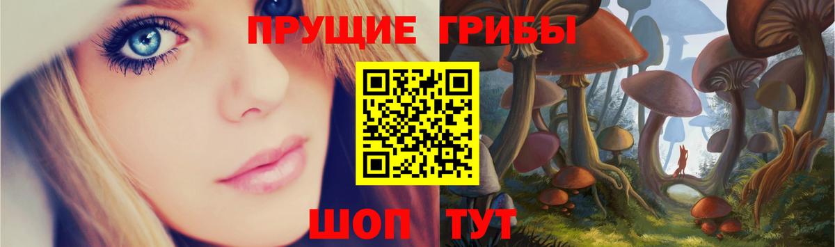 купить  сайты  Топки  Псилоцибиновые грибы прущие грибы 