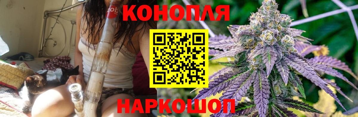 Бошки Шишки конопля Топки